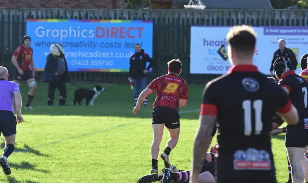 Harrogate Pythons Rugby Union Football Club