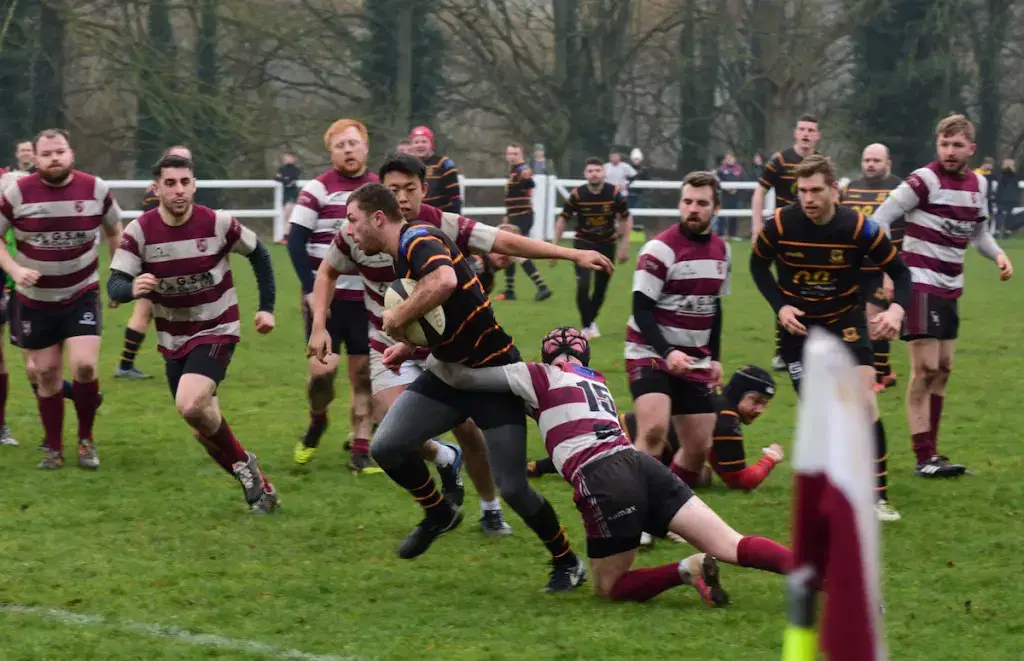 Harrogate Pythons Rugby Union Football Club