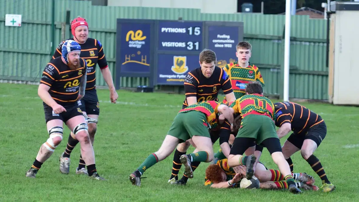 Harrogate Pythons Rugby Union Football Club