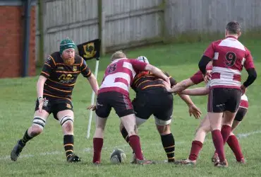 Harrogate Pythons Rugby Union Football Club