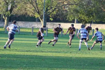 Harrogate Pythons Rugby Union Football Club