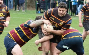 Harrogate Pythons RUFC