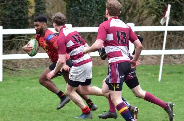 Harrogate Pythons RUFC