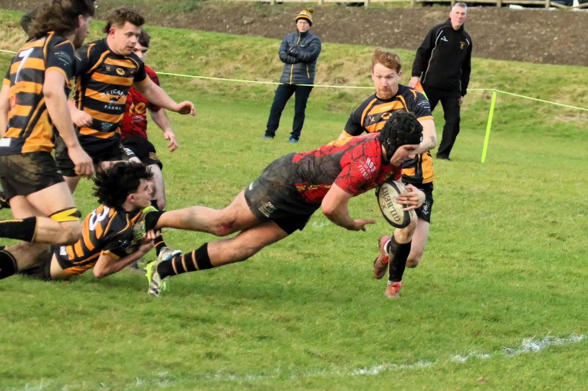 Last kick robs Pythons away at Dale