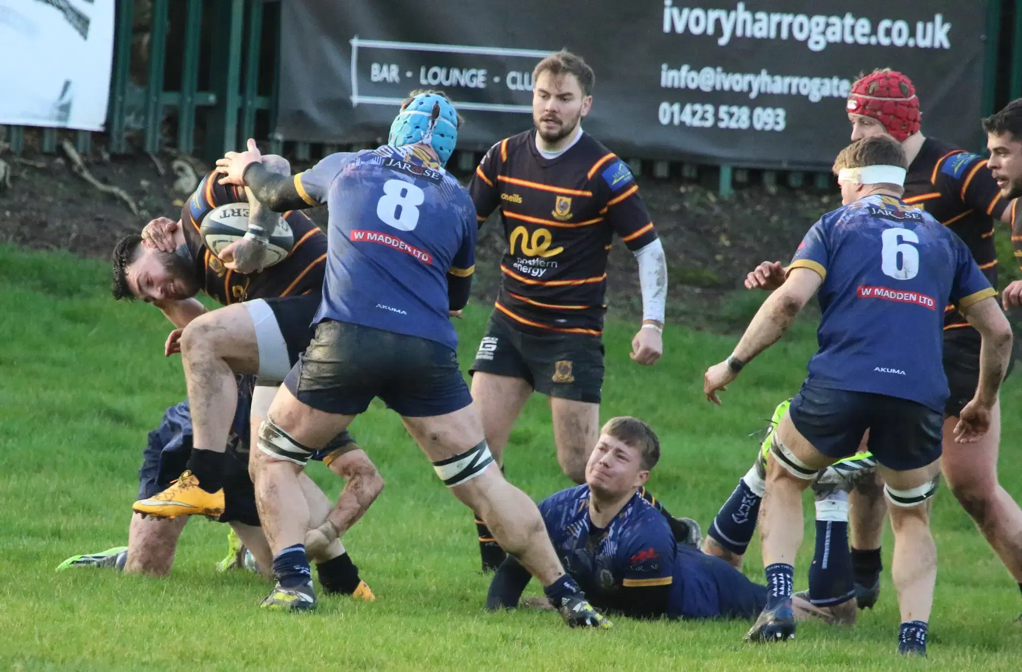 Pythons pipped at the post again