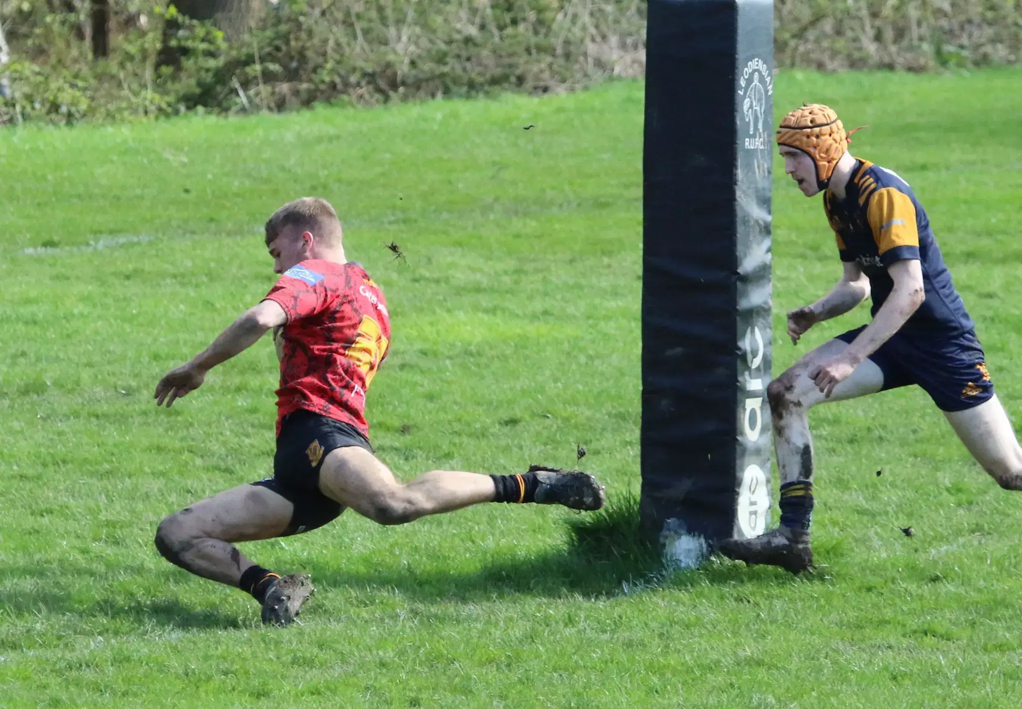 Pythons get bonus point but lose at Leos.