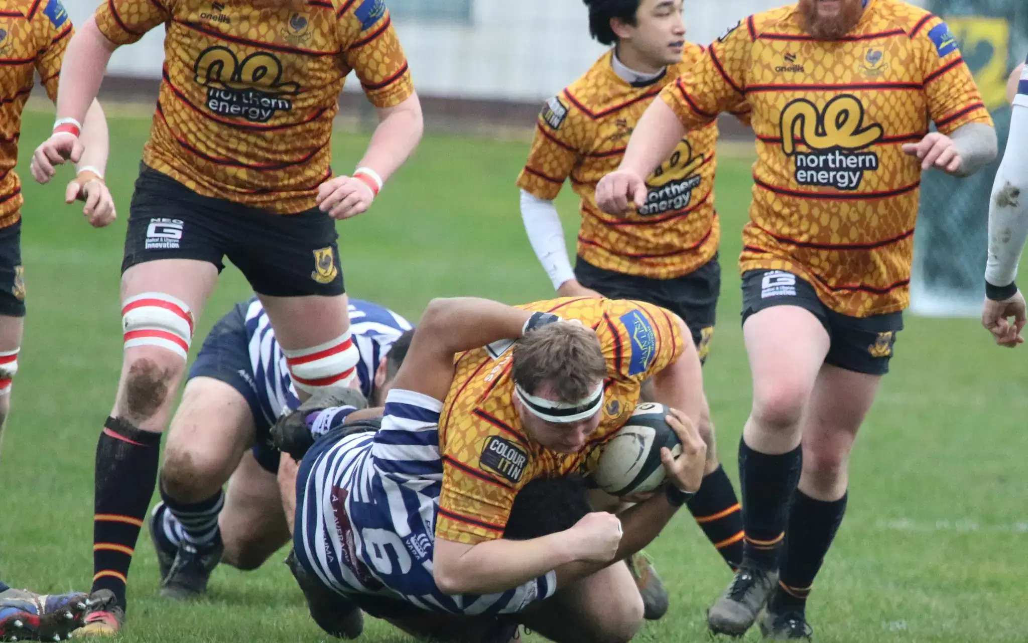 Pythons 1st half shocks Pock