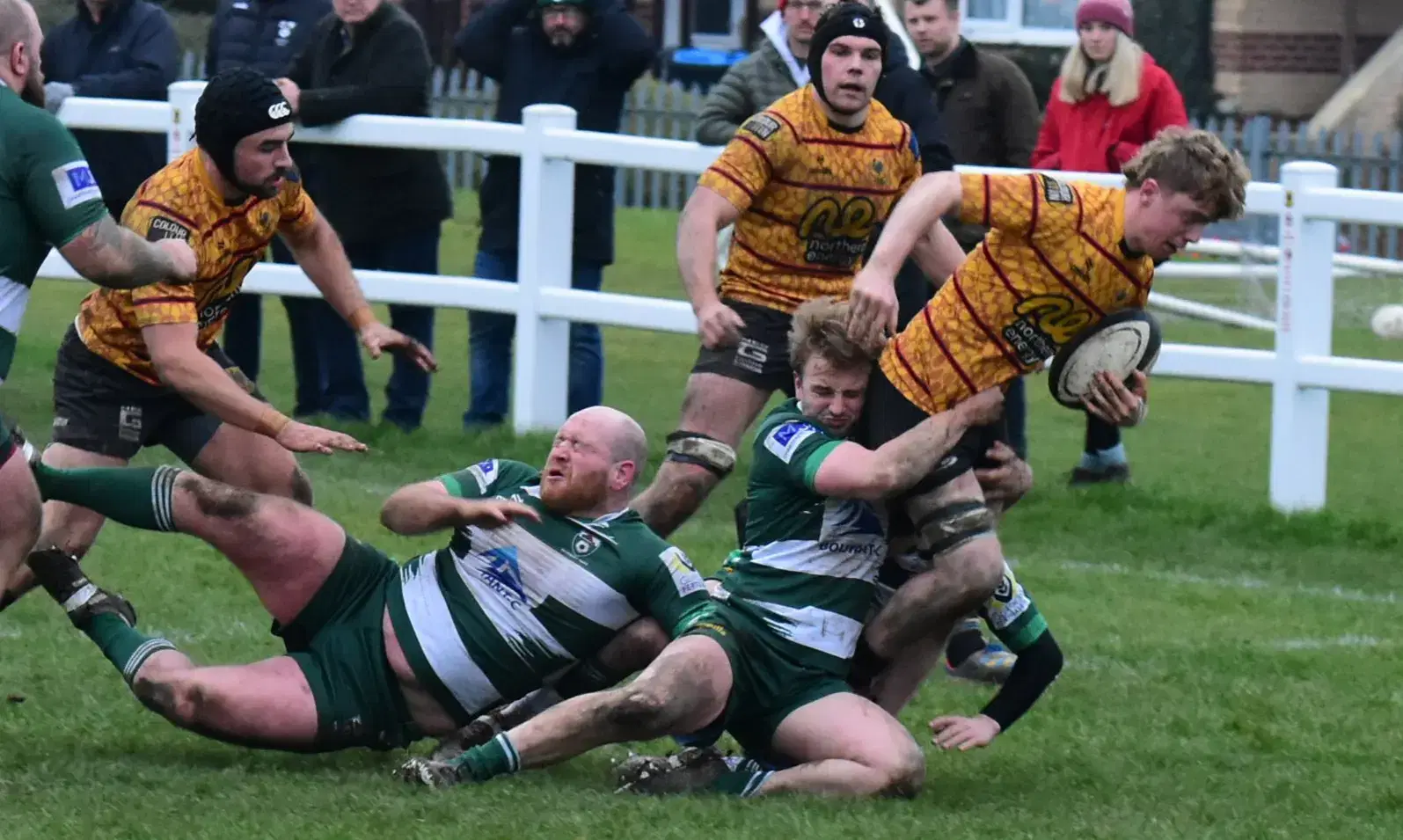 Pythons hold on against Beverley