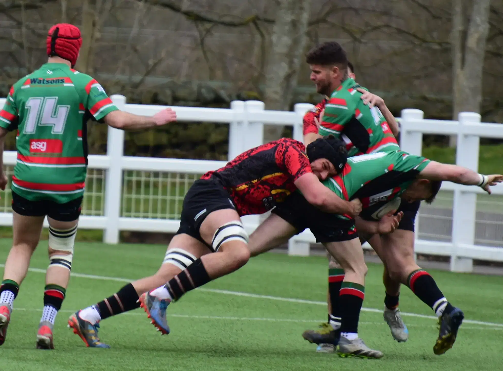 Pythons suffer heavy loss but gain try bonus point