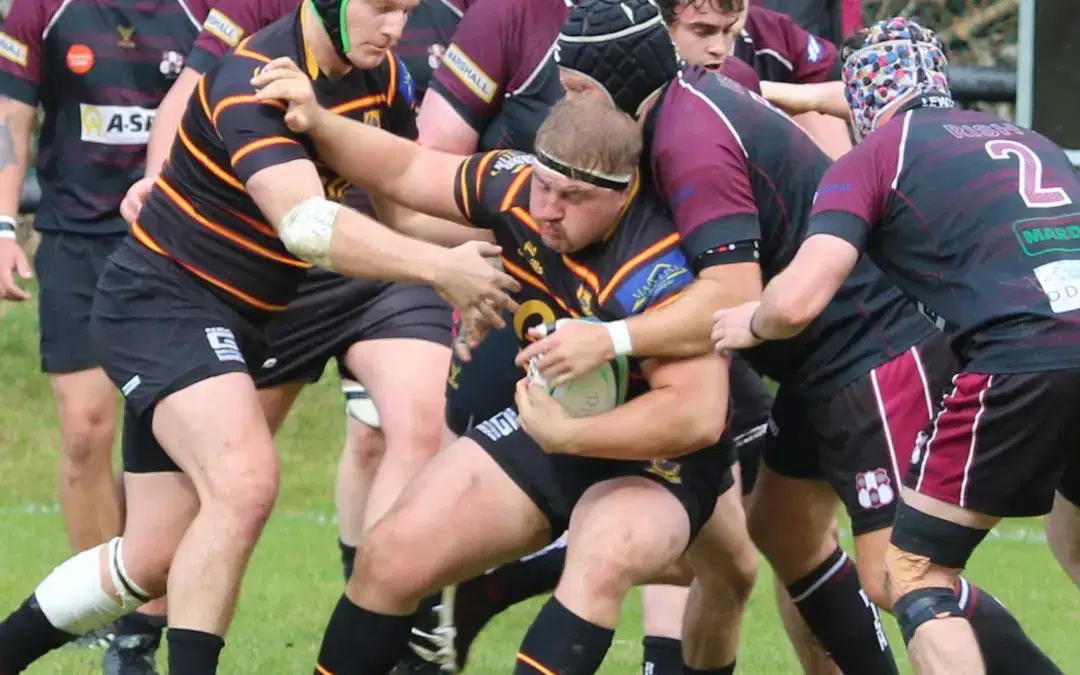 Pythons come close at Rishworth