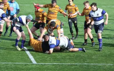 Pythons take the points at Yarnbury