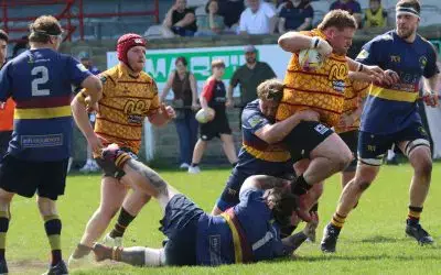 Pythons show determination in Shield Final