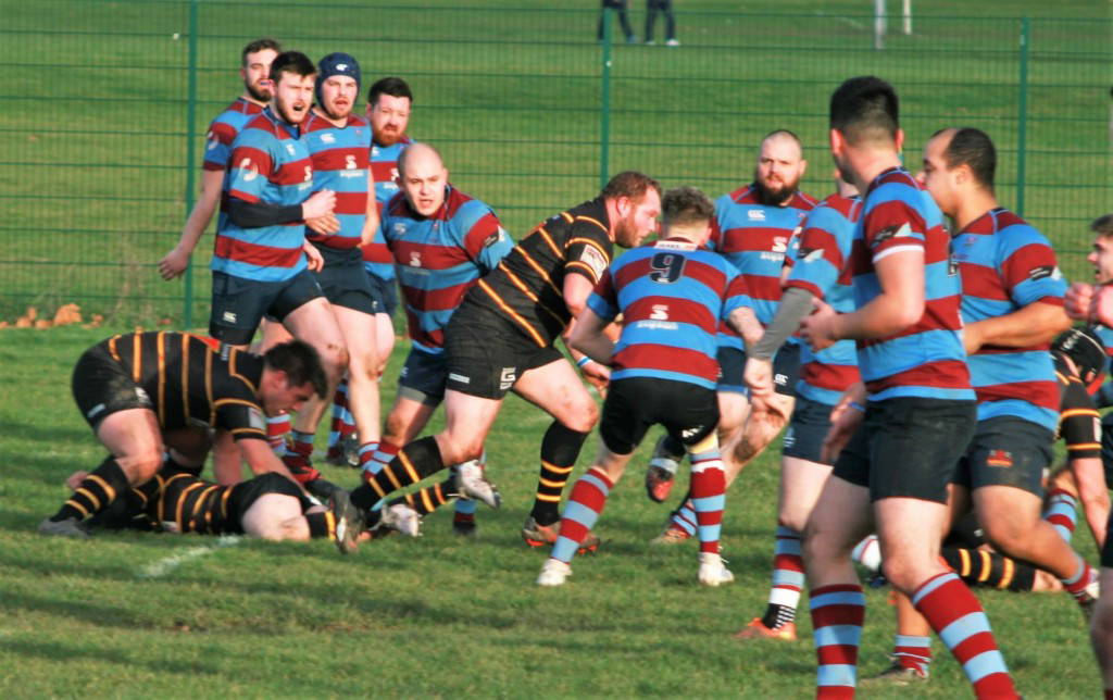 Rotherham Phoenix 7-22 Pythons 1st XV