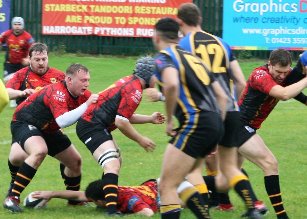 Harrogate Pythons Rugby Union Football Club