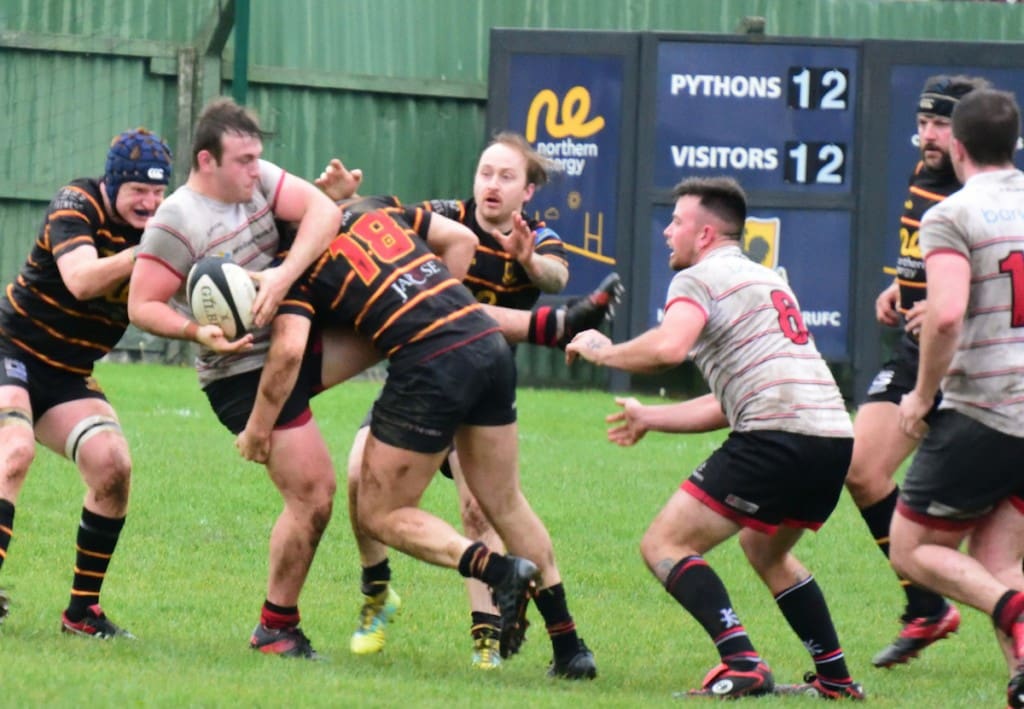 Harrogate Pythons Rugby Union Football Club