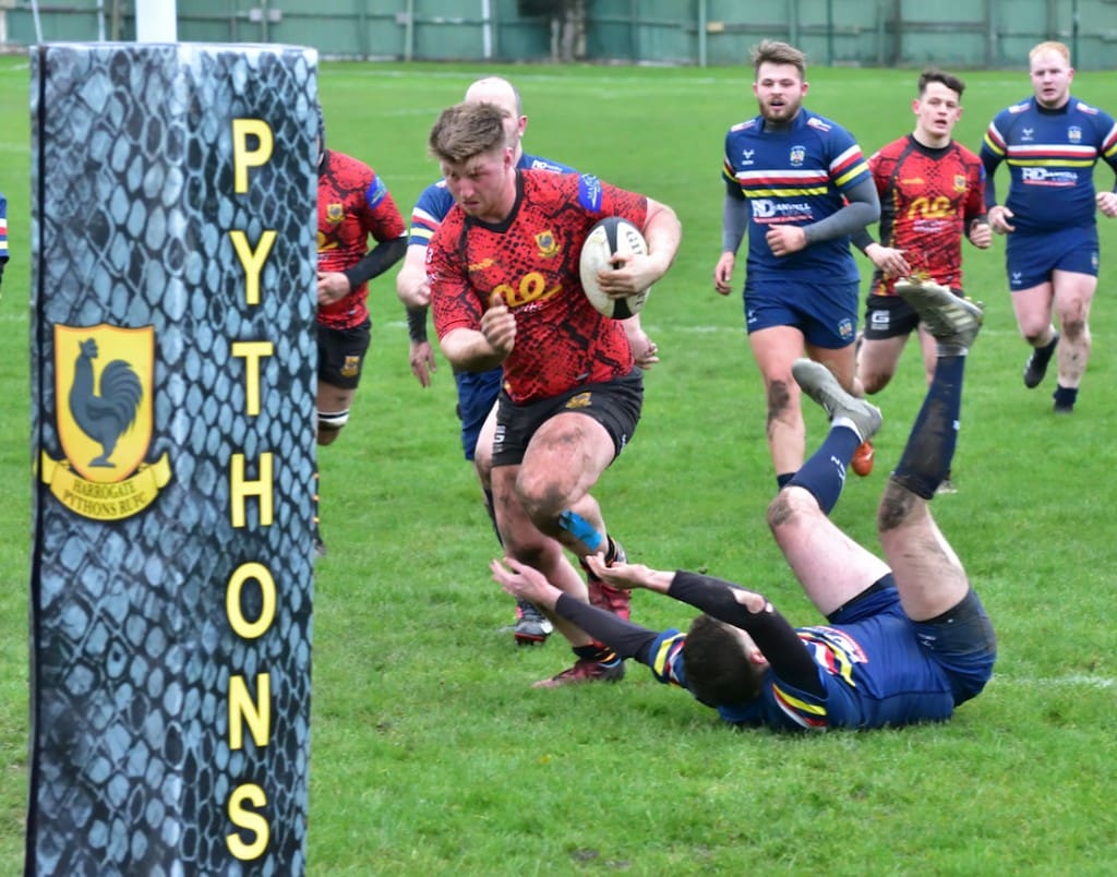 Harrogate Pythons Rugby Union Football Club