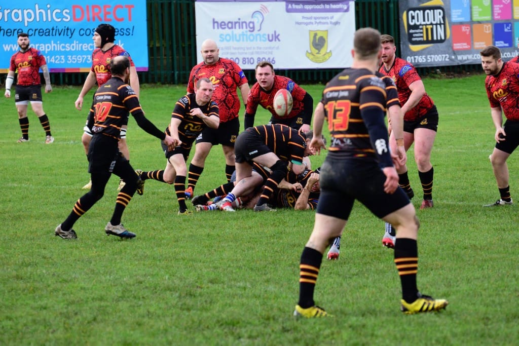 Harrogate Pythons Rugby Union Football Club