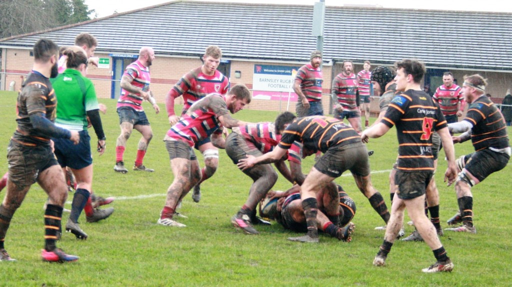 Harrogate Pythons Rugby Union Football Club