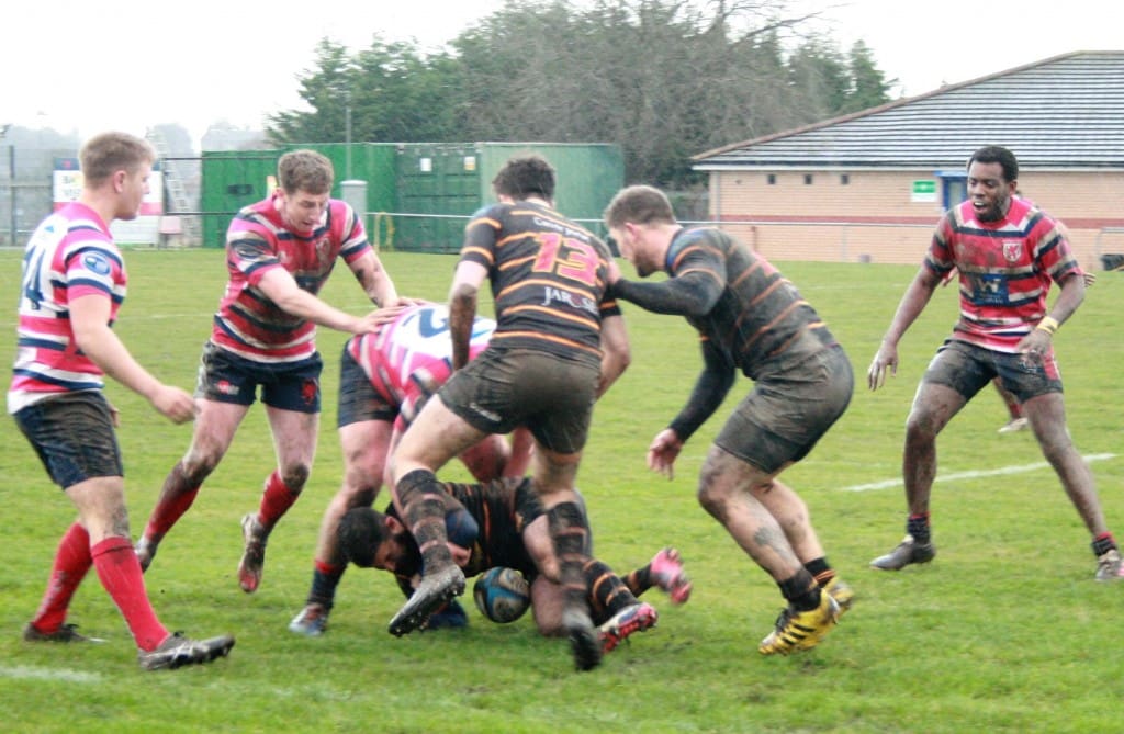 Harrogate Pythons Rugby Union Football Club