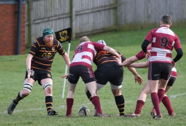 Harrogate Pythons Rugby Union Football Club