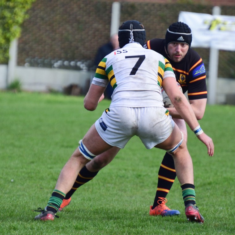 Harrogate Pythons Rugby Union Football Club