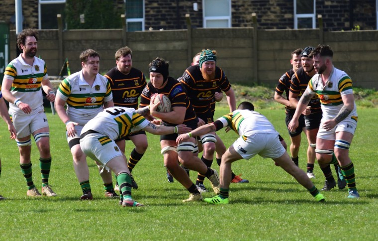 Harrogate Pythons Rugby Union Football Club