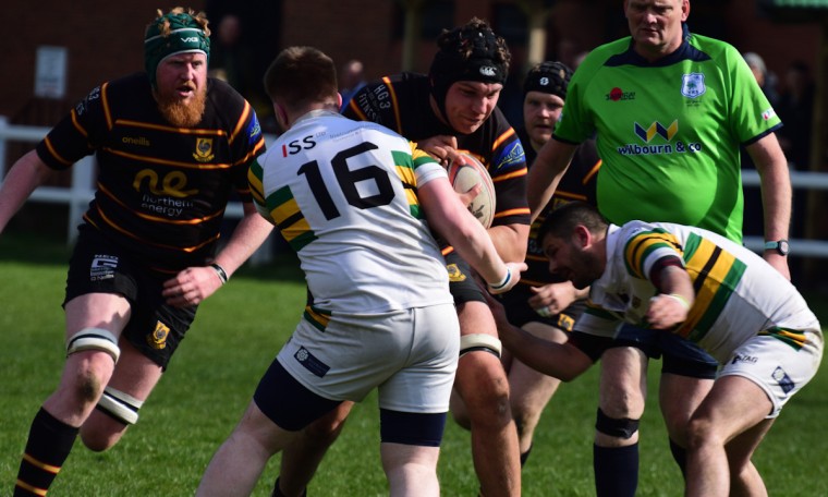 Harrogate Pythons Rugby Union Football Club