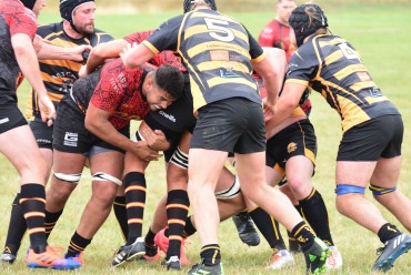 Harrogate Pythons Rugby Union Football Club