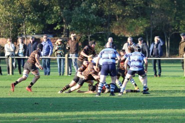 Harrogate Pythons Rugby Union Football Club