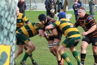 Harrogate Pythons RUFC