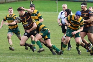 Harrogate Pythons RUFC