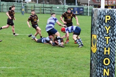Harrogate Pythons RUFC