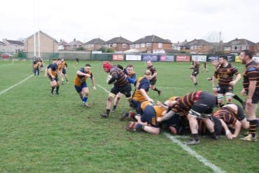 Harrogate Pythons RUFC
