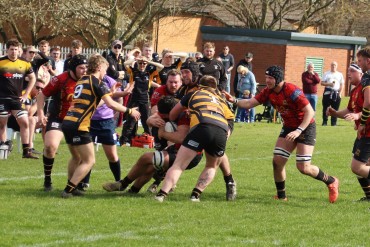 Harrogate Pythons RUFC