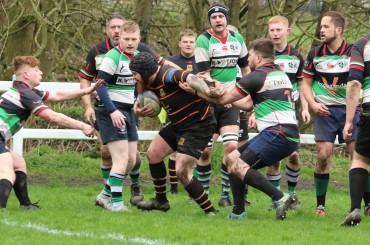 Harrogate Pythons RUFC