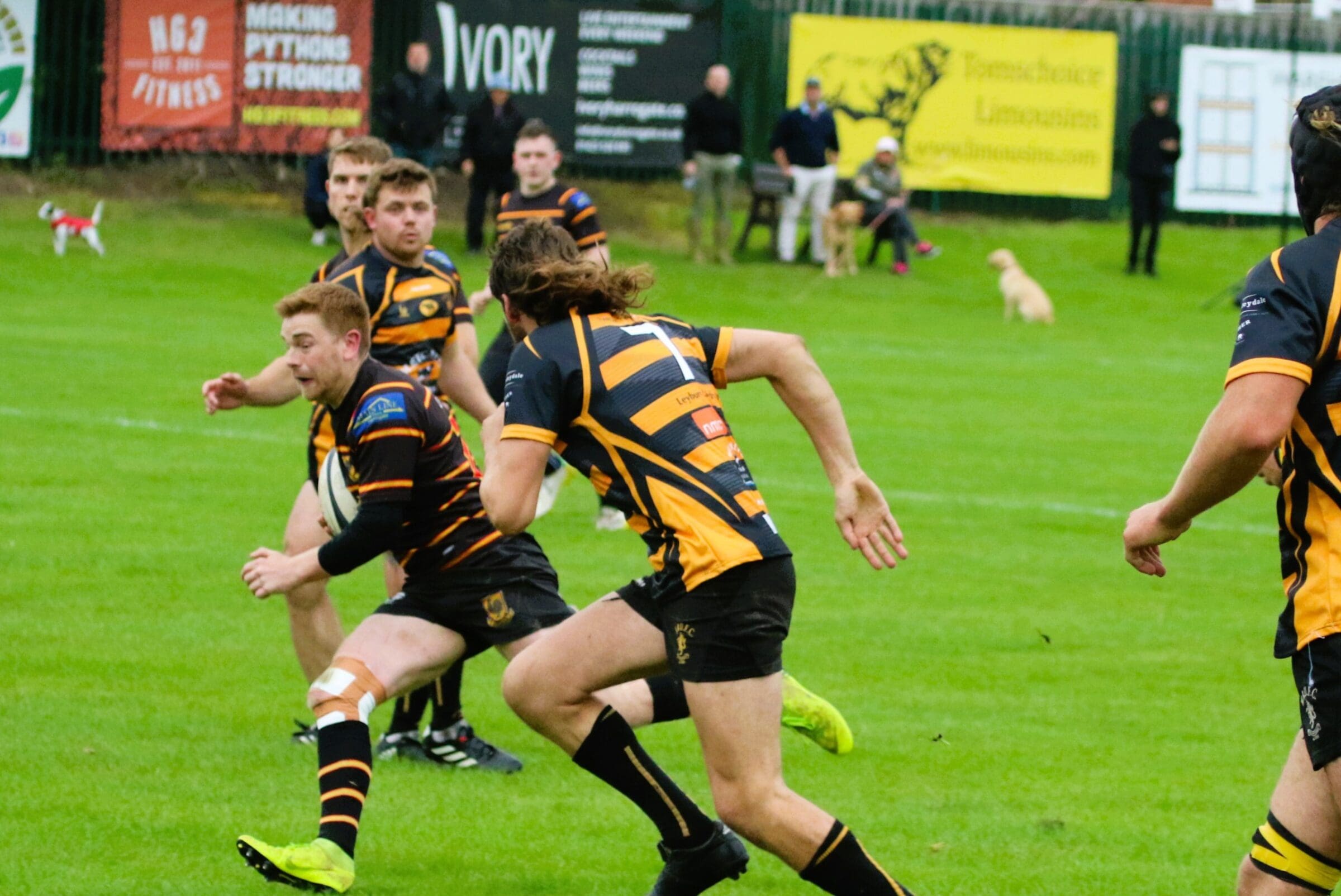 Pythons falter at home to fellow promotees Wensleydale