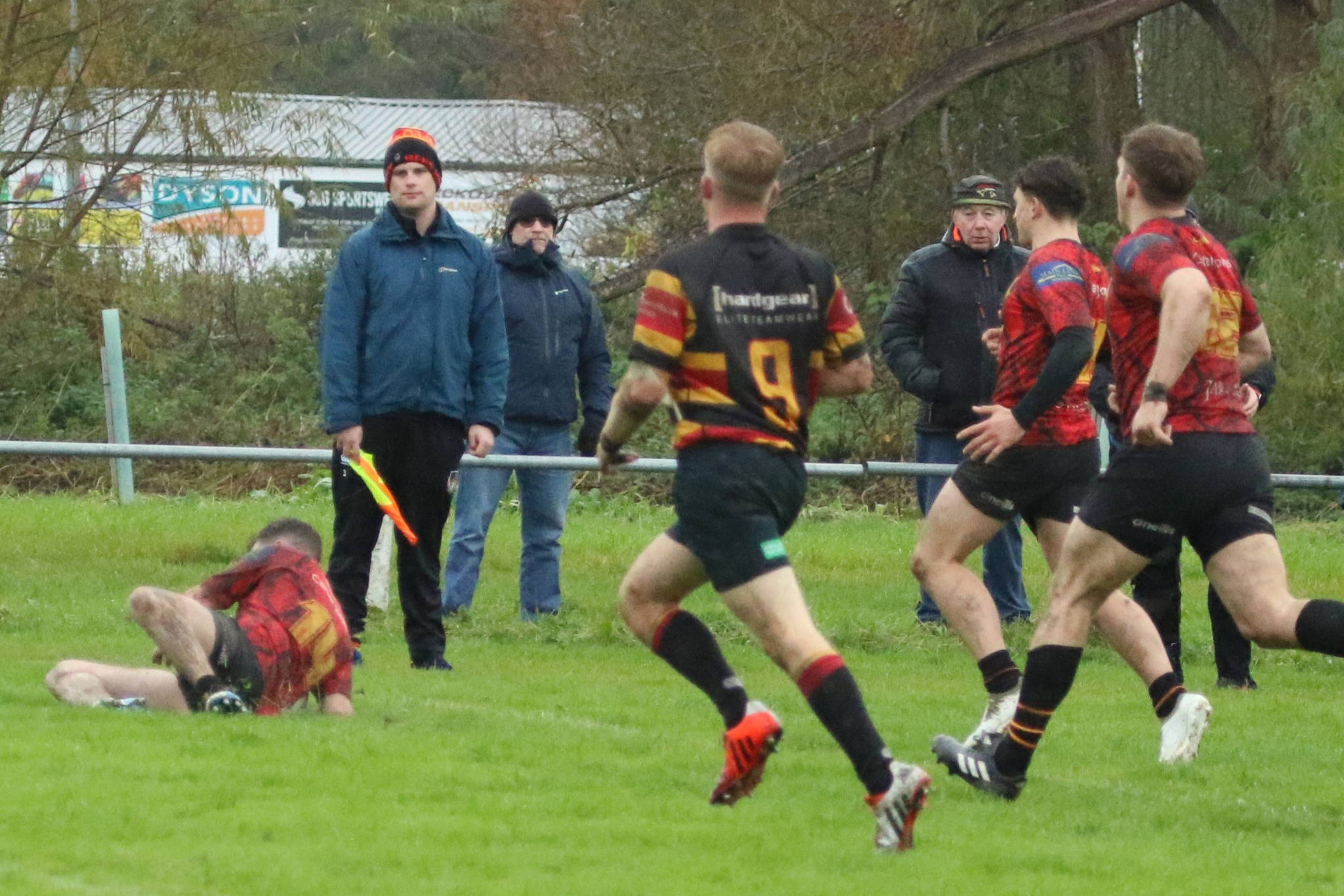 Pythons lose out to The Bees