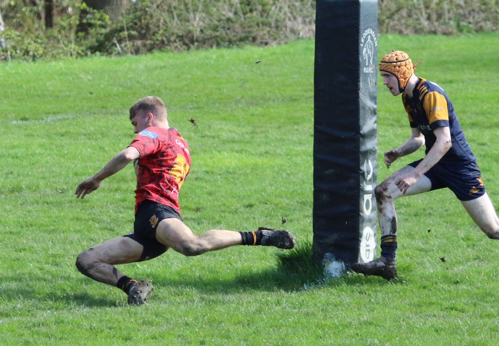 Pythons get bonus point but lose at Leos.