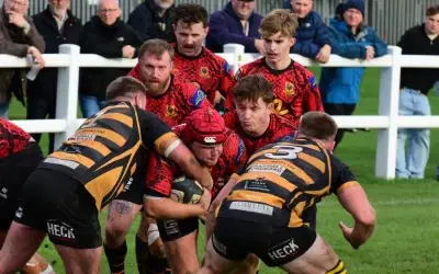 Pythons loose out to Wensleydale