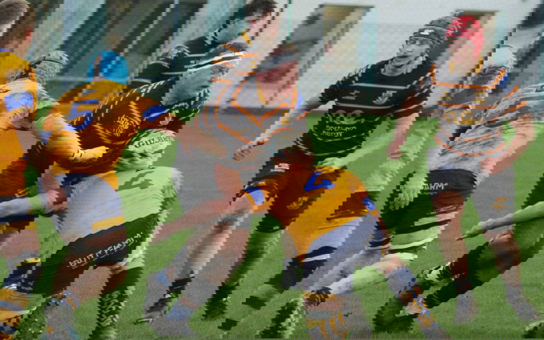 Pythons overpower Goole for a win